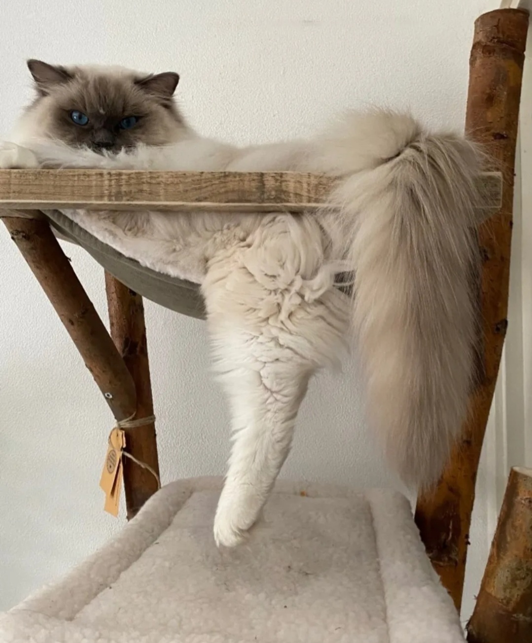 Model Koko met Hangmat